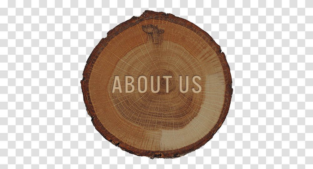 Augustine Trees Lumber, Wood, Lamp, Plant, Tree Stump Transparent Png