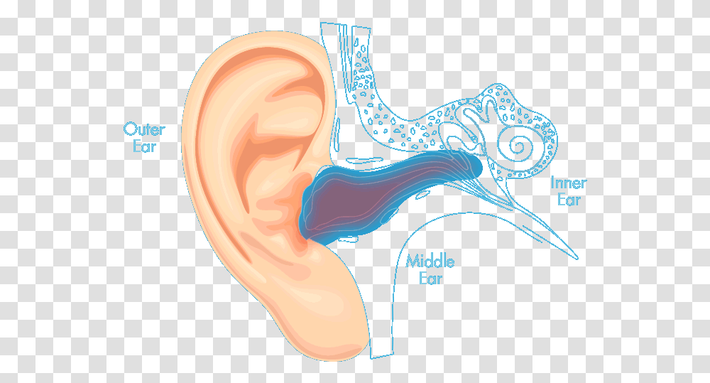 Auro Ear Drops Water In Your Ear Transparent Png