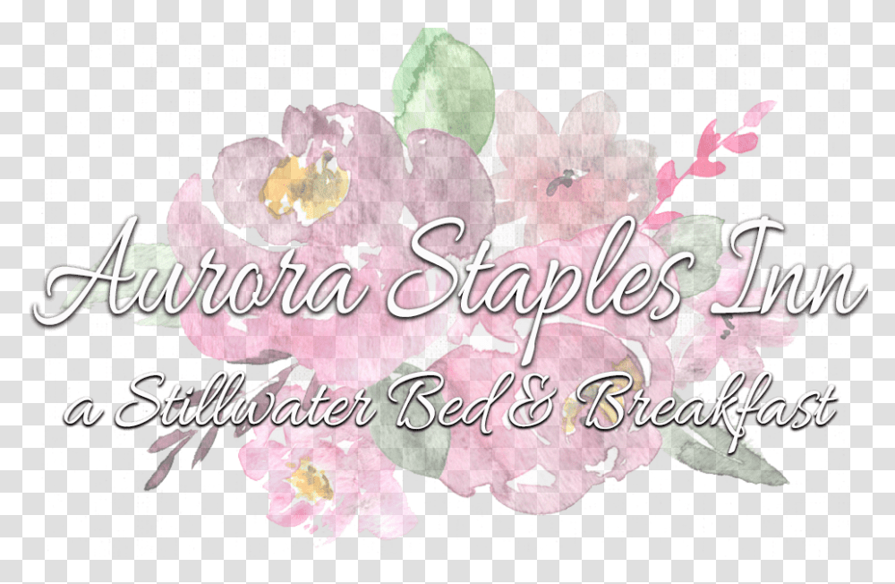 Aurora Staples Inn Calligraphy, Plant, Flower, Petal Transparent Png