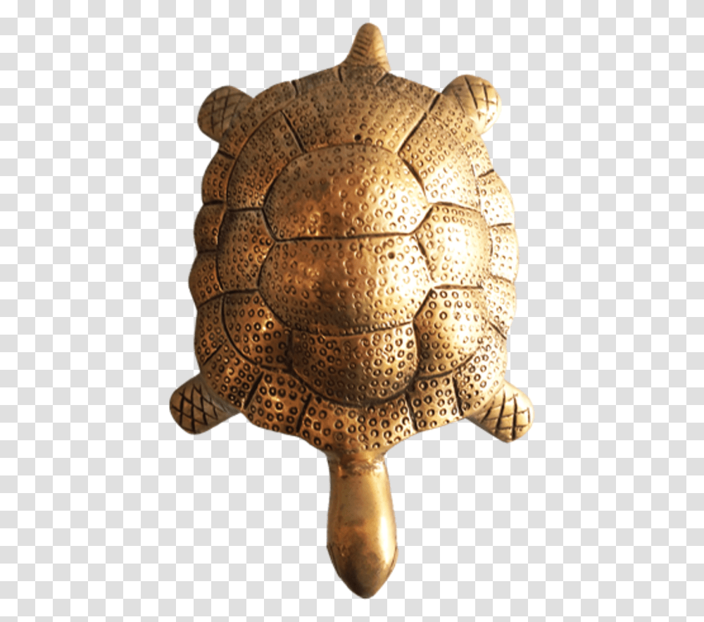 Auspiciousturtle Brass Statue 5 X 7 Inch Vgo Tortoise, Sea Life, Animal, Reptile, Box Turtle Transparent Png