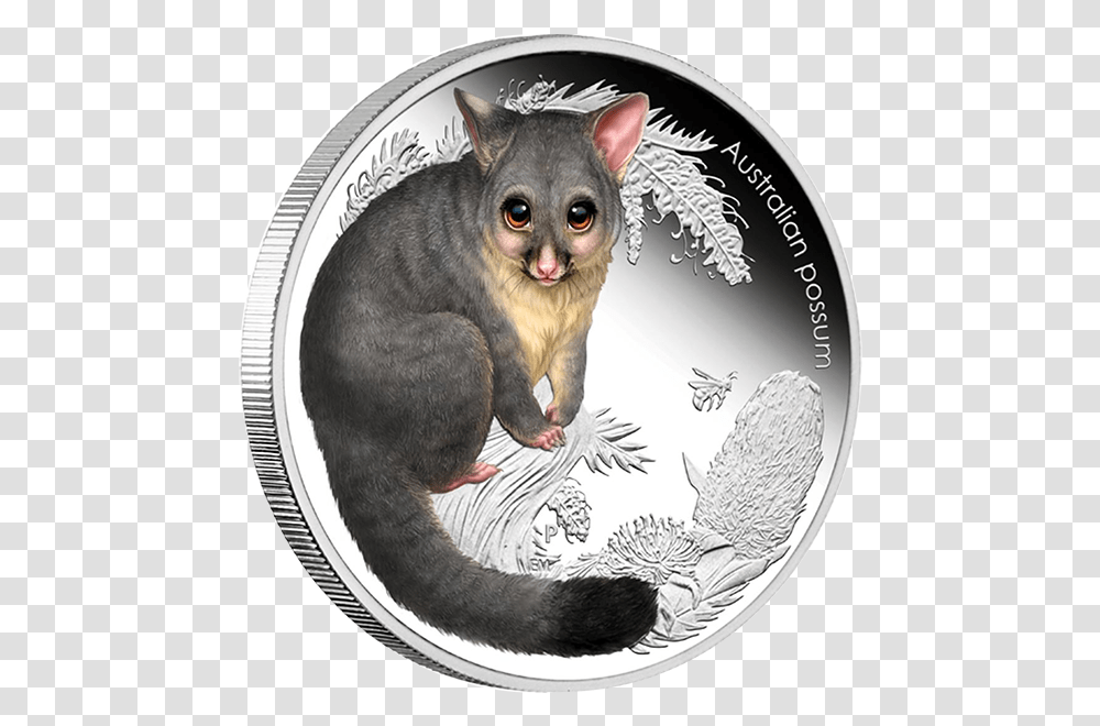 Australia 2013 50 Cents Possum Australian Bush Babies Australian Animal Bush Baby, Cat, Mammal, Meal, Food Transparent Png
