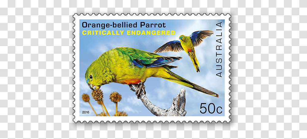 Australia Endangered Animals Stamps, Bird, Postage Stamp, Parrot, Macaw Transparent Png
