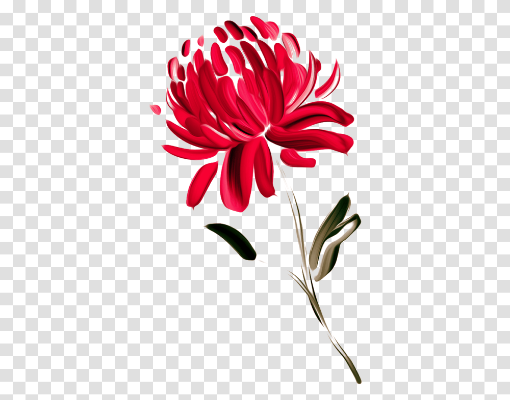 Australia Waratah Painted Waratah Flower Painting, Dahlia, Plant, Blossom, Petal Transparent Png