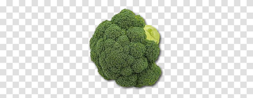 Australian Broccoli Broccoli, Plant, Vegetable, Food, Rug Transparent Png
