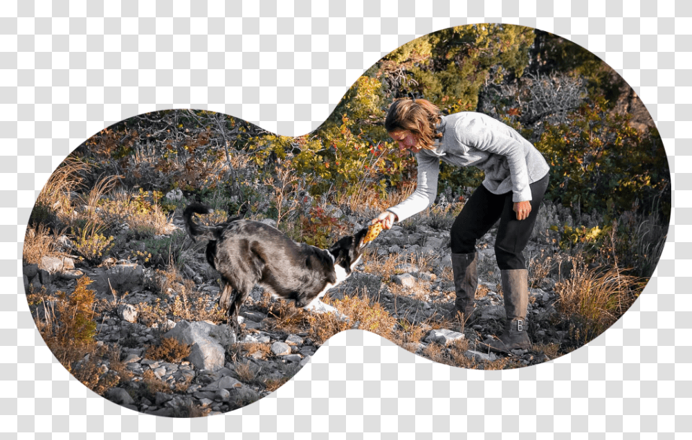 Australian Cattle Dog, Person, Pet, Canine, Animal Transparent Png