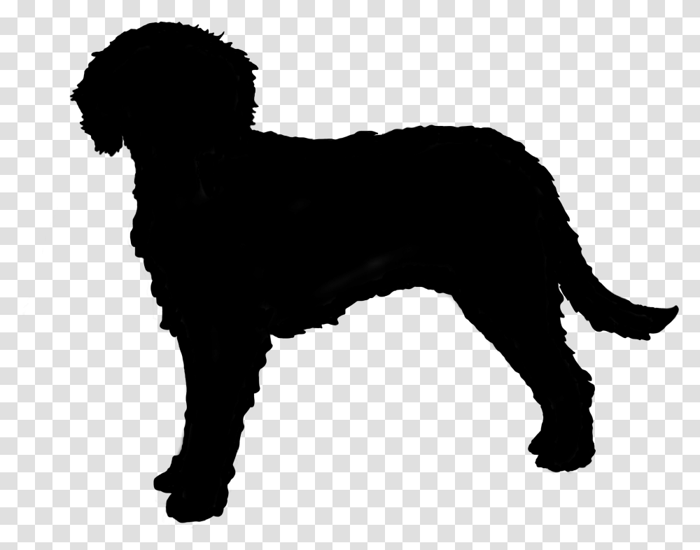 Australian Cobberdog Silhouette Silhouette Of A Labradoodle, Nature, Outdoors, Night, Moon Transparent Png