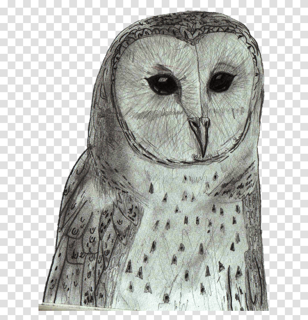 Australian Drawing Pencil Drawing Of Endemic Birds Pencil, Owl, Animal, Face, Beak Transparent Png