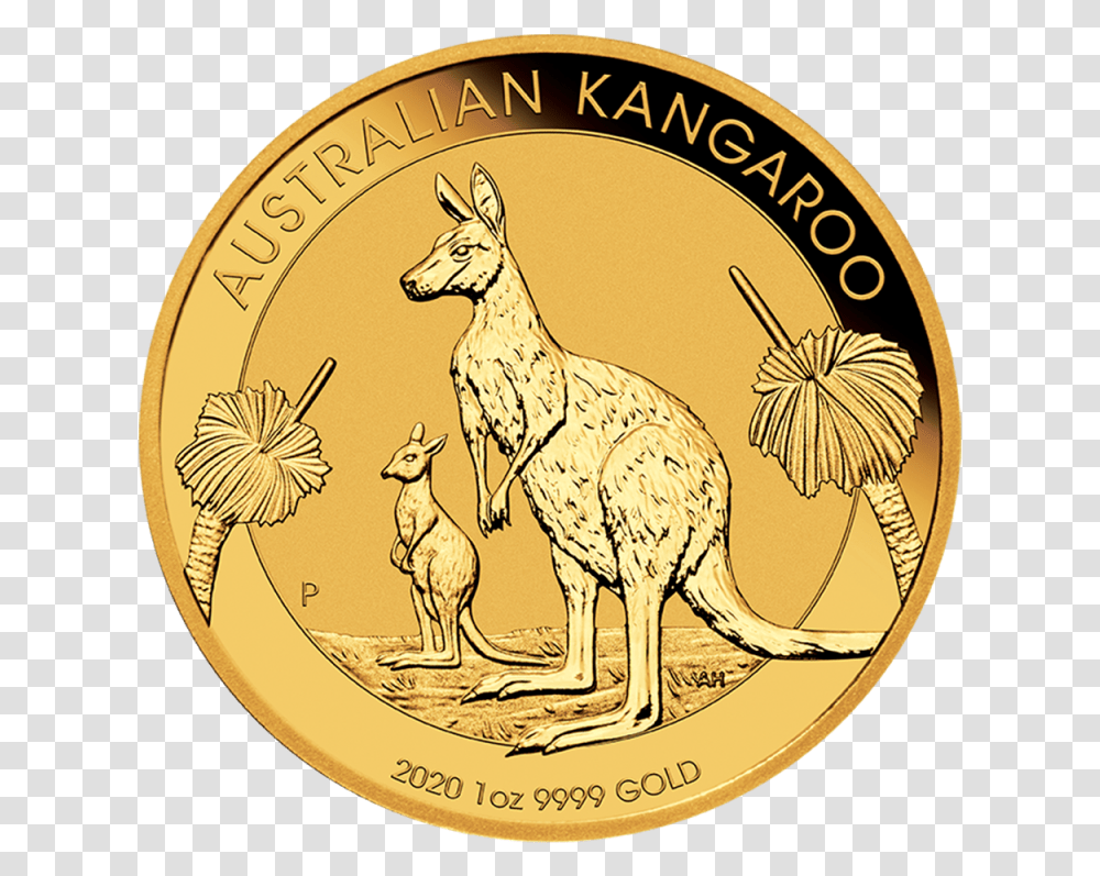 Australian Gold Kangaroo Coins Image, Mammal, Animal, Wallaby, Money Transparent Png