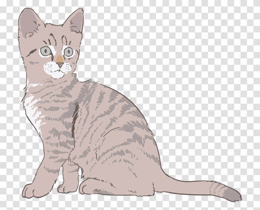 Australian Mistwild Catcarnivoran Cat Drawing With Color, Mammal, Animal, Pet, Manx Transparent Png