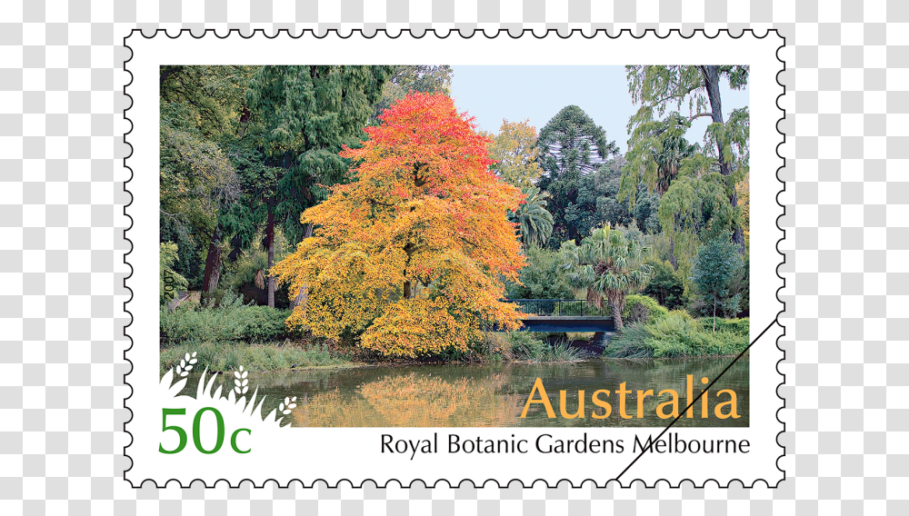 Australian Stamps, Poster, Advertisement, Postage Stamp, Tree Transparent Png