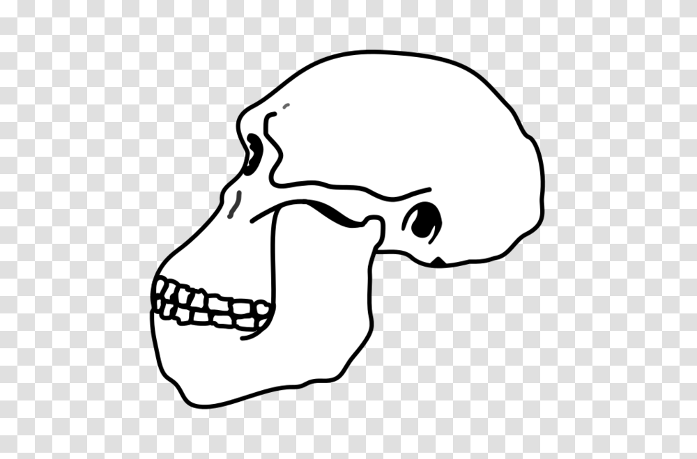Australopithecus Skull, Stencil, Pillow, Cushion, Silhouette Transparent Png