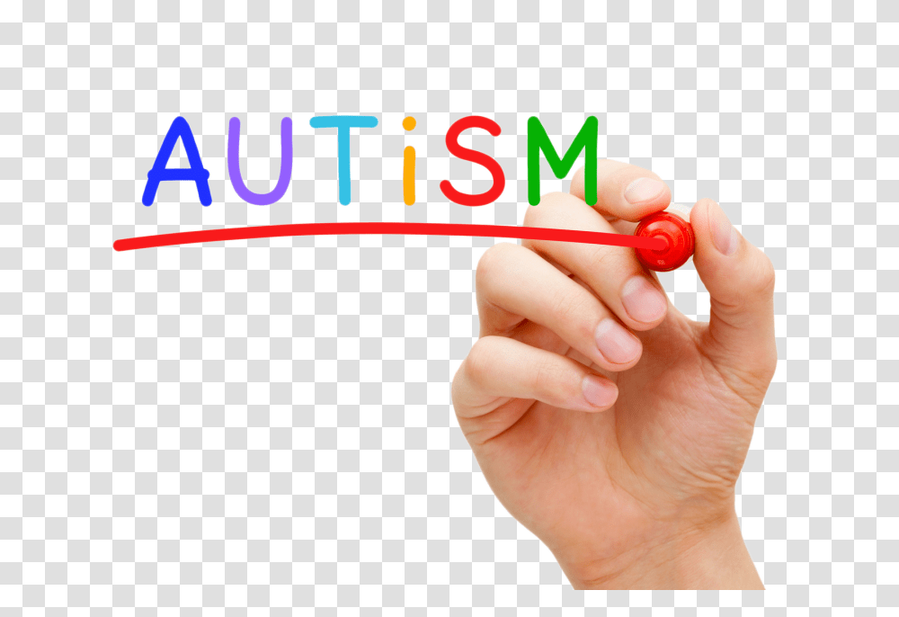 Autism Research, Person, Hand, Wrist Transparent Png