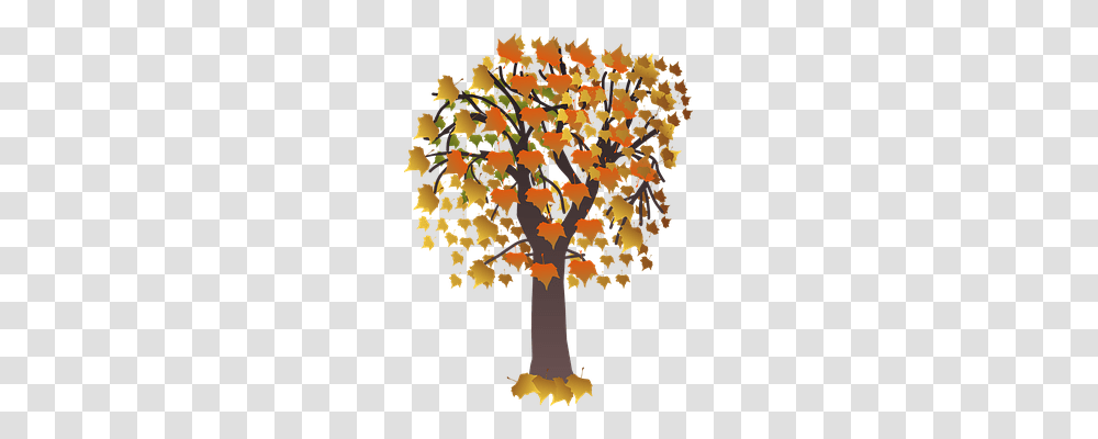 Autumn Nature, Tree, Plant, Tree Trunk Transparent Png
