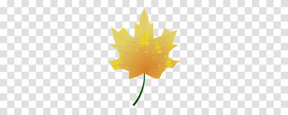 Autumn Nature, Leaf, Plant, Tree Transparent Png