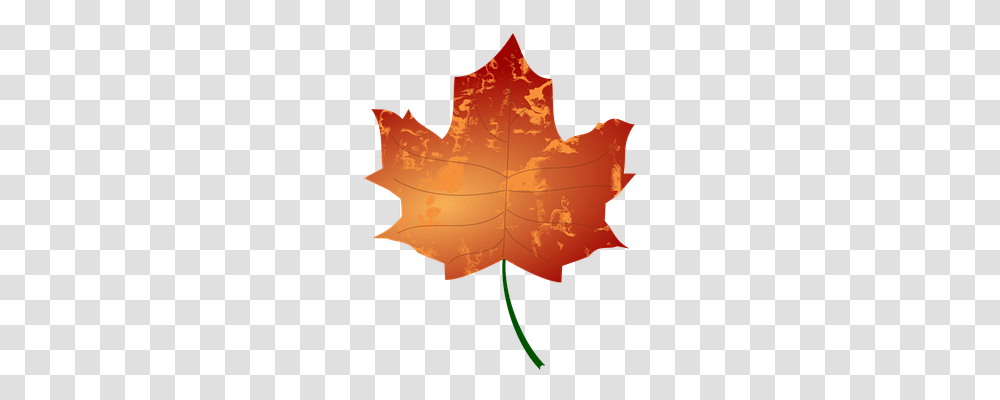 Autumn Nature, Leaf, Plant, Maple Leaf Transparent Png