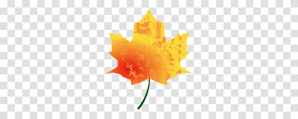 Autumn Nature, Leaf, Plant, Maple Leaf Transparent Png