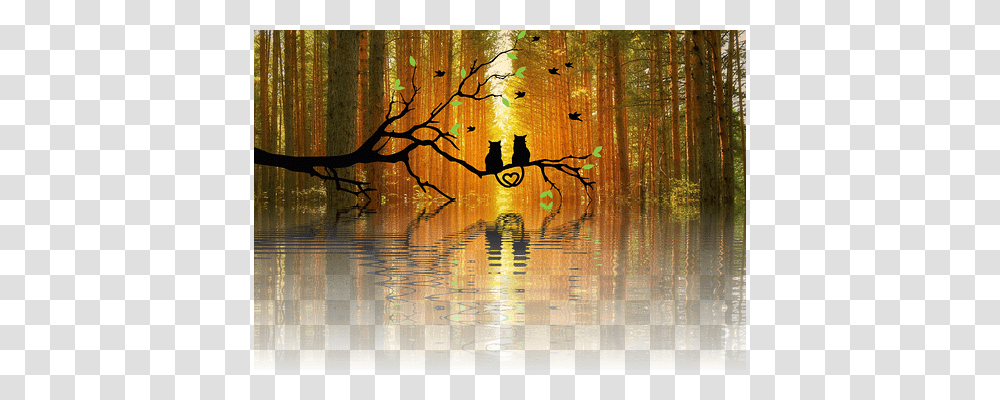 Autumn Nature, Outdoors, Land, Water Transparent Png