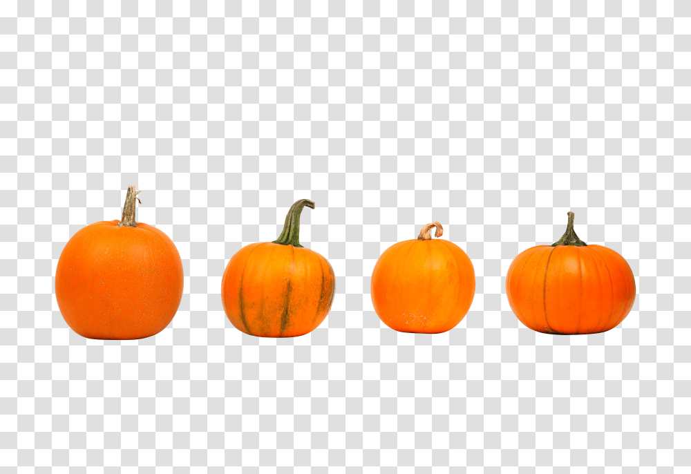 Autumn 2905 Clip, Holiday, Plant, Pumpkin, Vegetable Transparent Png
