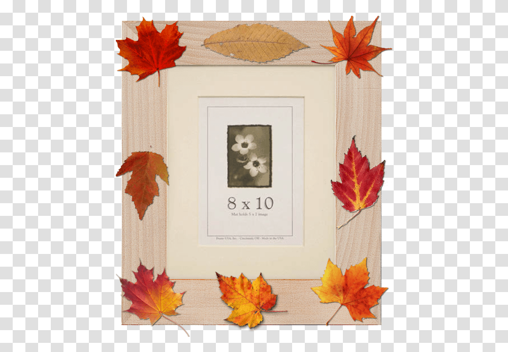 Autumn Archives Frame Usa's Blog Frames, Leaf, Plant, Maple Leaf, Tree Transparent Png