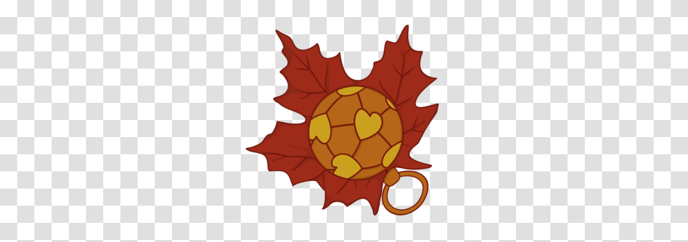 Autumn Babby Cup, Leaf, Plant, Tree, Maple Leaf Transparent Png