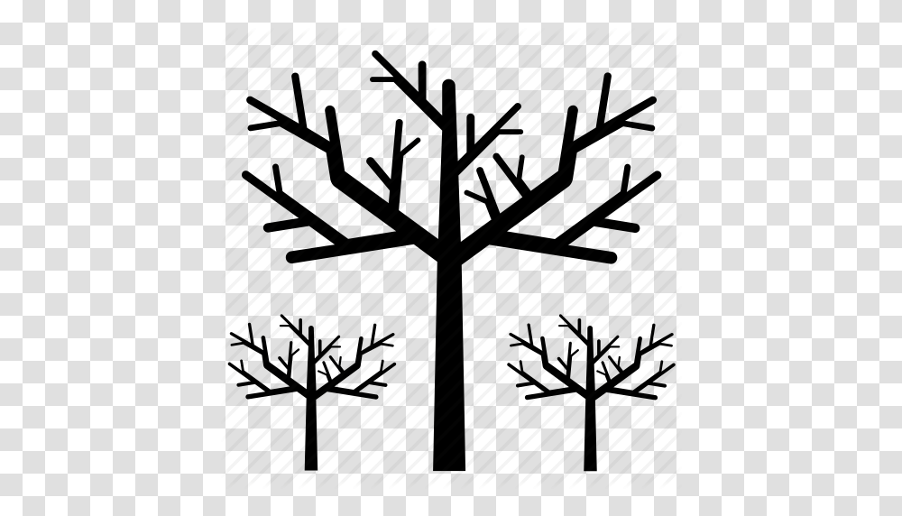 Autumn Bare Bare Tree Nature October Tree Icon, Plant, Furniture, Cabinet Transparent Png