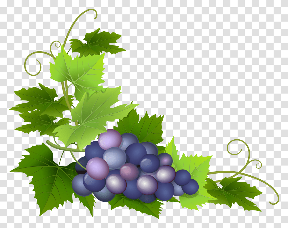 Autumn Border Grapes Free Transparent Png