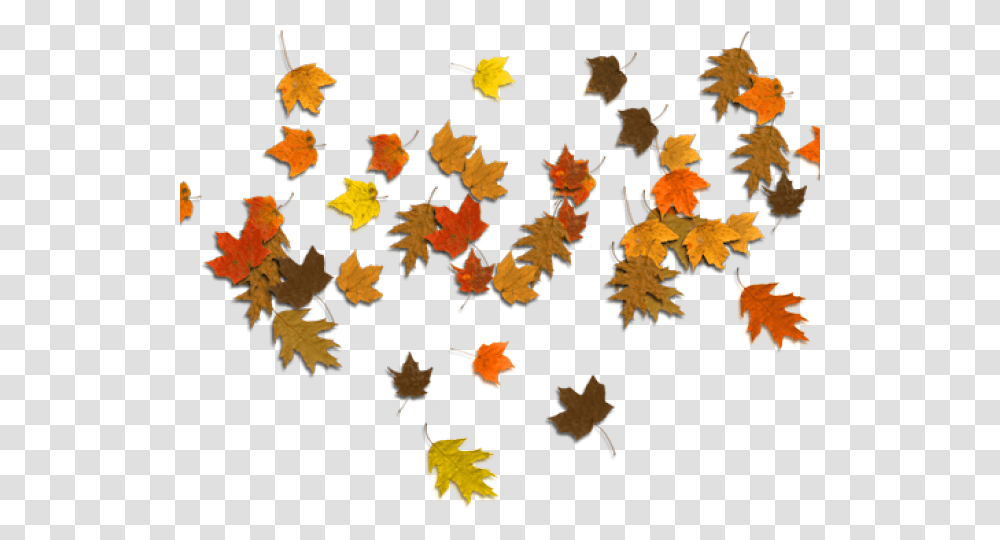 Autumn Border Leaf Hd In Brown Colour, Plant, Tree, Maple Leaf Transparent Png
