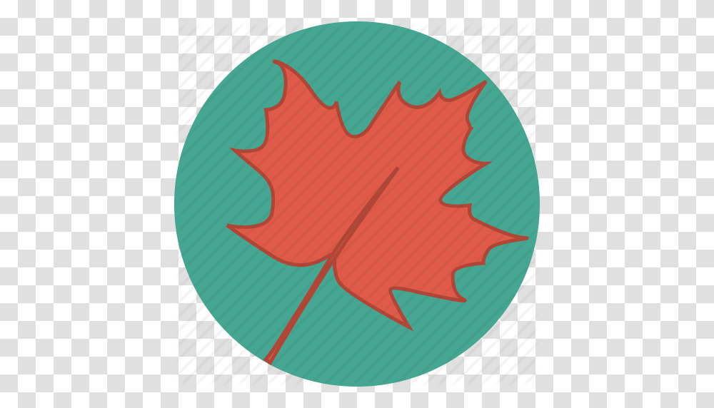 Autumn Canada Canadian Fall Leaf Maple Maple Leaf Icon, Plant, Ornament, Pattern, Tree Transparent Png