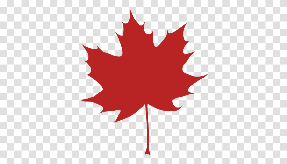 Autumn Canada Canadian Fall Leaf Maple Red Icon, Plant, Tree, Maple Leaf, Flag Transparent Png