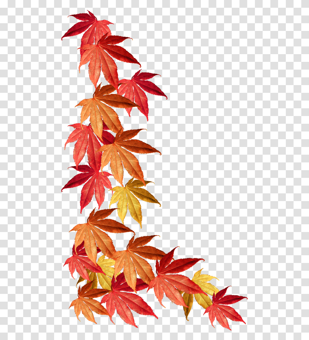 Autumn Clipart Background Fall Leaves Border, Leaf, Plant, Tree, Maple Transparent Png