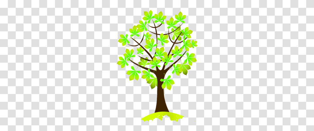 Autumn Clipart, Leaf, Plant, Tree, Maple Transparent Png