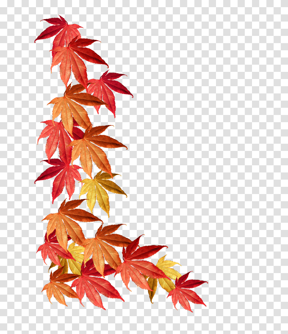 Autumn Clipart, Leaf, Plant, Tree, Maple Transparent Png