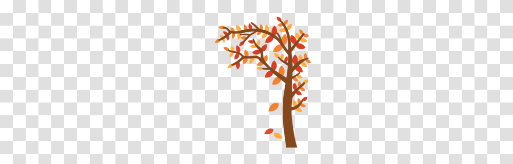 Autumn Clipart, Plant, Tree, Leaf, Cross Transparent Png