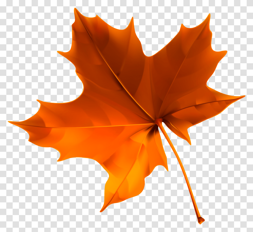 Autumn Color Leaf Red Free Clipart Hd Clipart, Plant, Tree, Maple Leaf Transparent Png