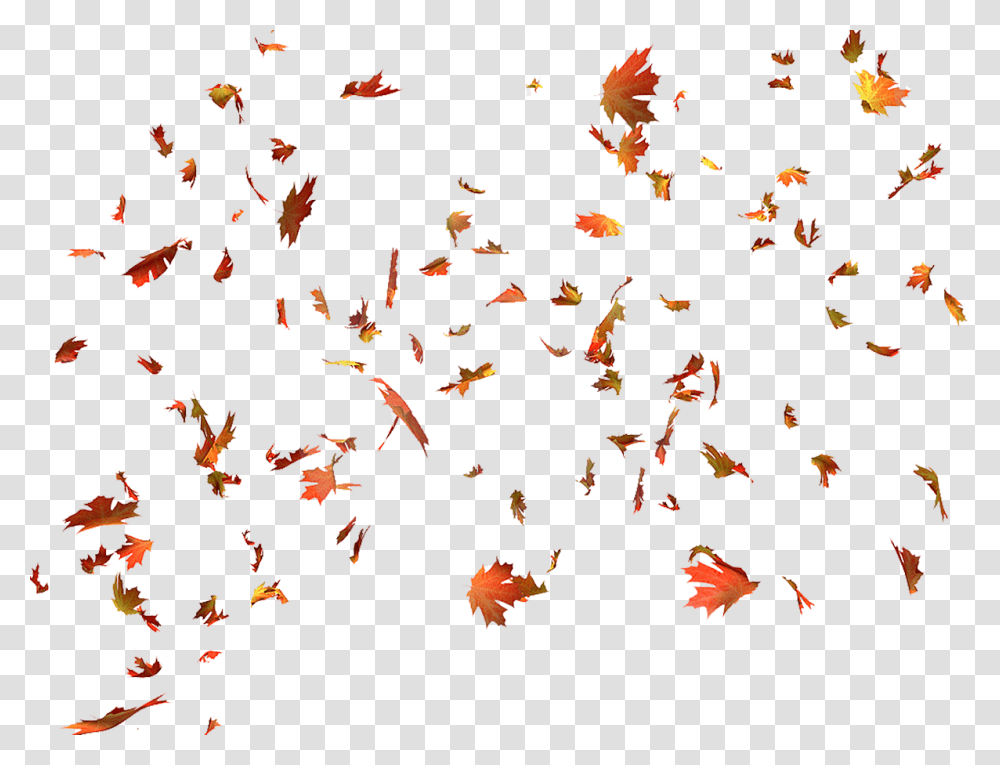 Autumn Color Leaves Leaf Maple Free Hd Image Clipart Leaves Fall Gif, Modern Art, Crowd Transparent Png