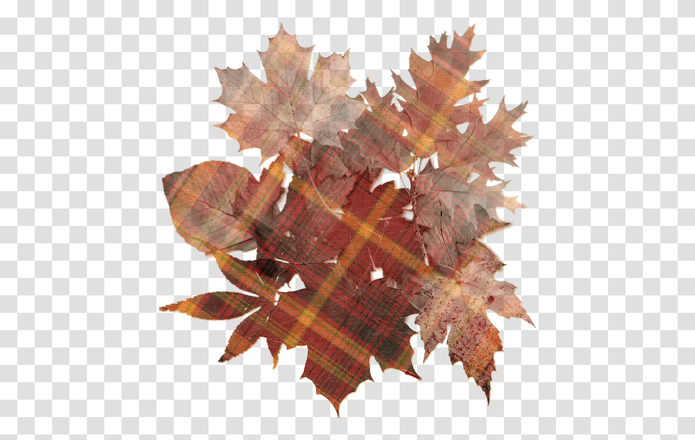 Autumn Colors Orange Vintage Autumn, Ornament, Pattern, Leaf, Plant Transparent Png