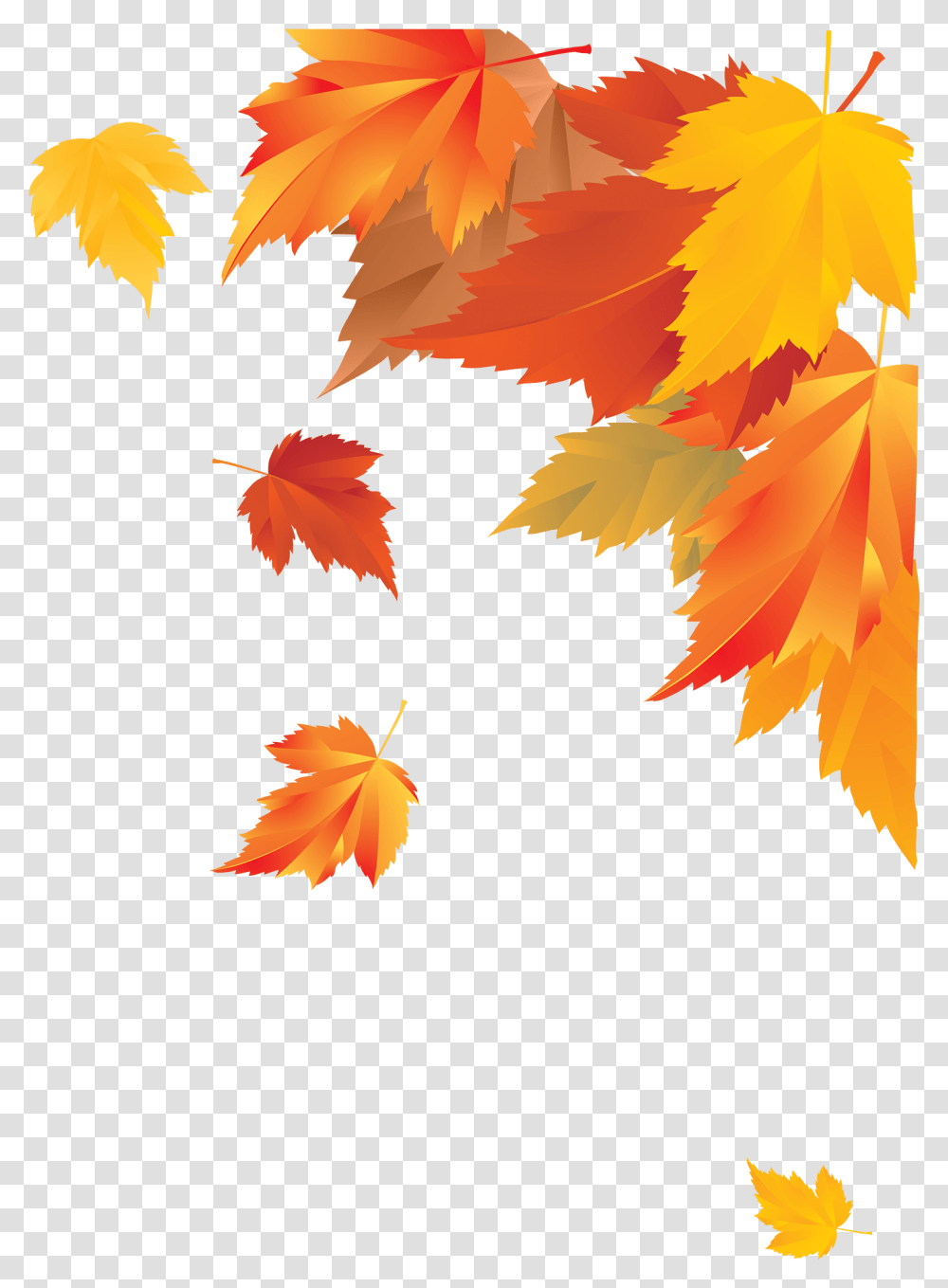 Autumn Corner Decoration Fall Leaves Border, Leaf, Plant, Maple, Tree Transparent Png
