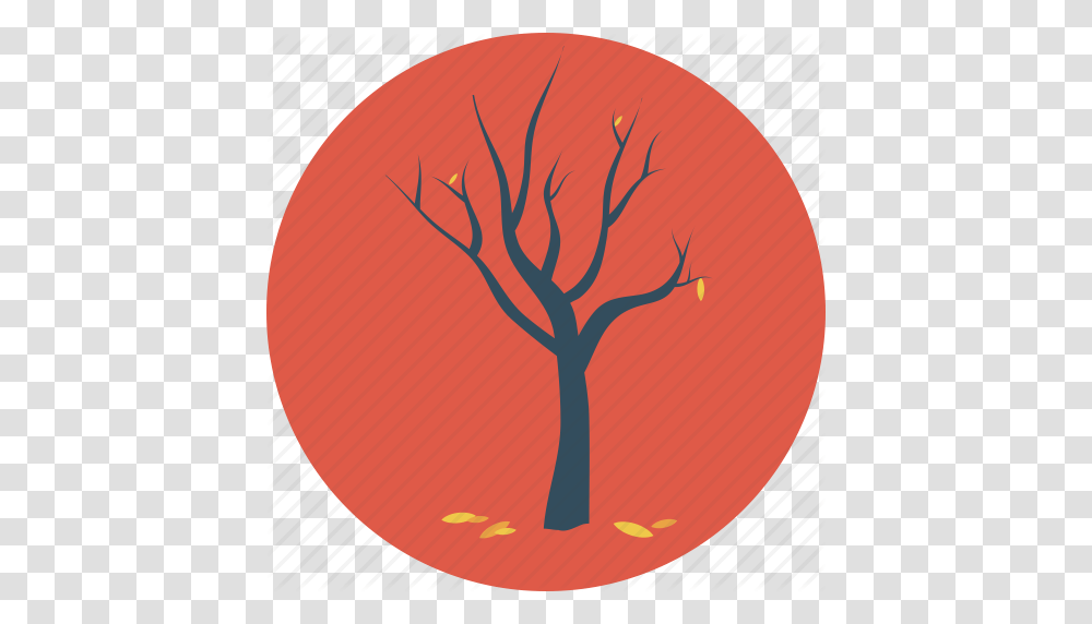 Autumn Dead Tree Fall Fallen Leaves Tree Icon, Plant, Food, Vegetable, Produce Transparent Png