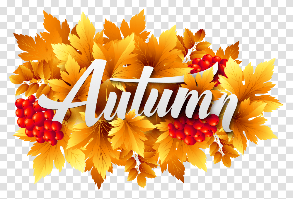 Autumn Decorative Image Transparent Png