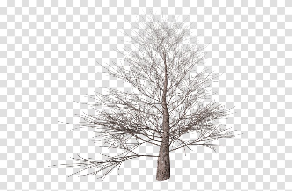 Autumn Digital Art Nature Winter Tree Background, Plant, Tree Trunk, Panther, Wildlife Transparent Png