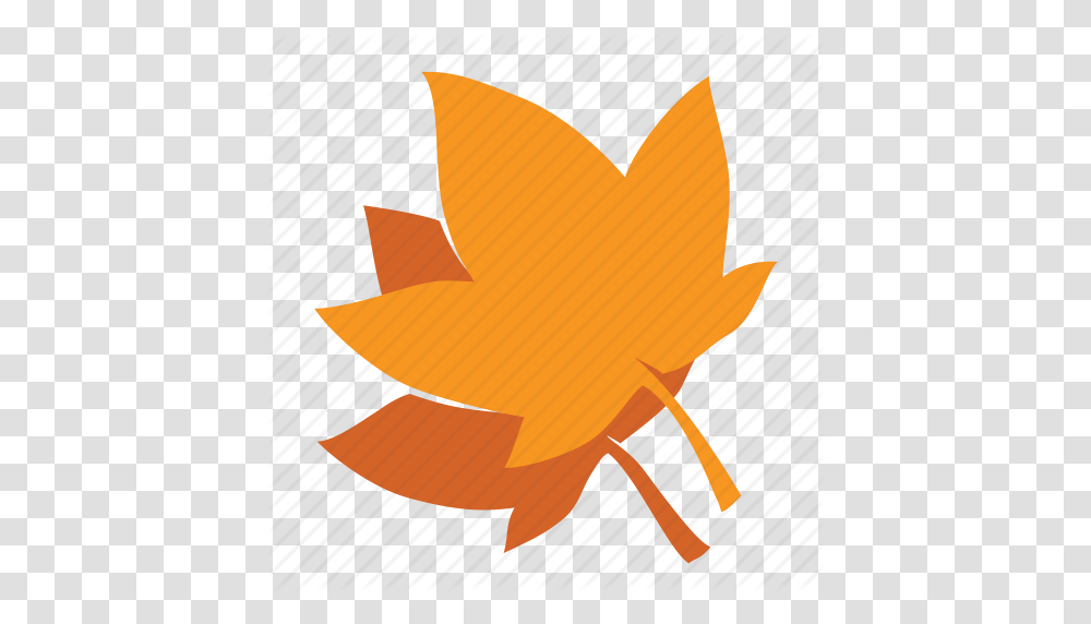 Autumn Fall Forest Leaf Maple Nature Tree Icon, Plant, Maple Leaf Transparent Png