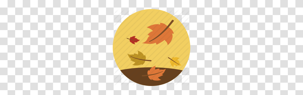 Autumn Fall Leaves Weather Icon, Leaf, Plant, Nature, Outdoors Transparent Png