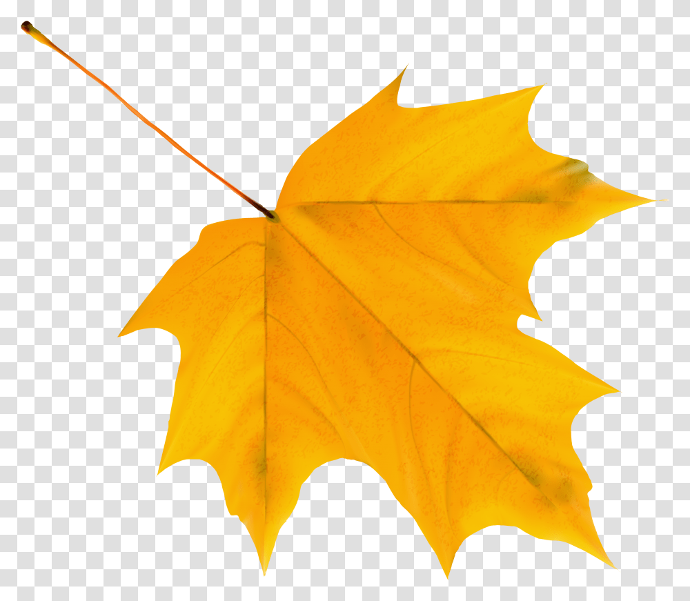 Autumn Falling Leaves Yellow Fall Leaves Clip Art, Leaf, Plant, Tree, Maple Leaf Transparent Png