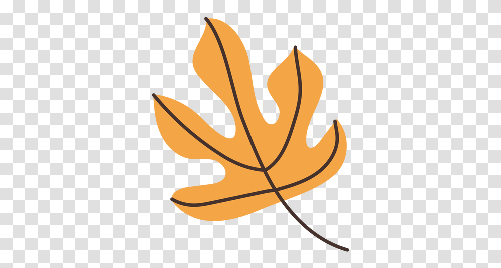 Autumn Fig Tree Leaf Cartoon Folha Da Figueira Desenho, Plant, Maple Leaf, Food Transparent Png
