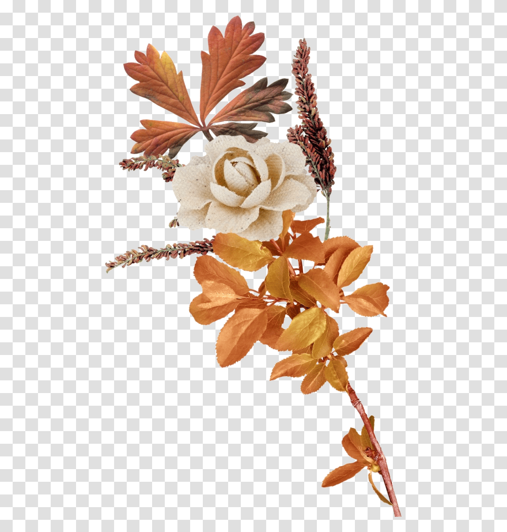 Autumn Flower Autumn Flowers Clip Art, Plant, Petal, Floral Design, Pattern Transparent Png