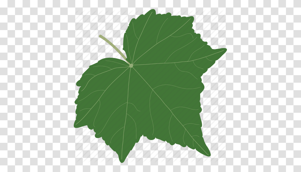 Autumn Foliage Leaf Leaves Plant Season Summer Icon, Maple Leaf, Tree Transparent Png