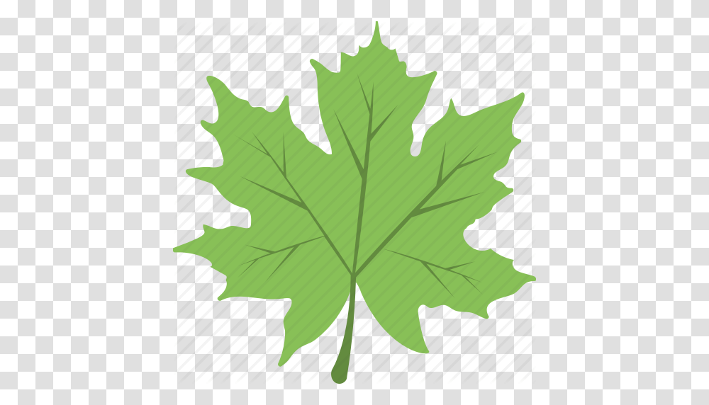 Autumn Foliage Leaf Maple Leaf Nature Icon, Plant, Tree, Bird, Animal Transparent Png