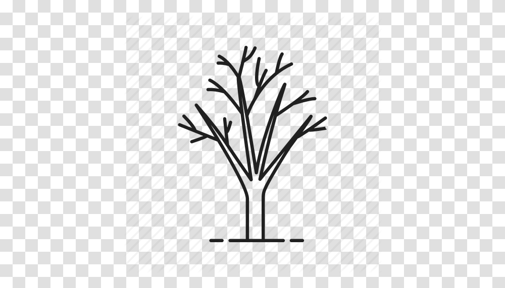 Autumn Forest Leafless Naked Park Tree Winter Icon, Plant, Outdoors, Water Transparent Png