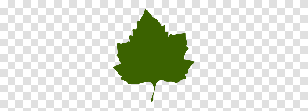 Autumn Free Clipart, Leaf, Plant, Tree, Maple Leaf Transparent Png