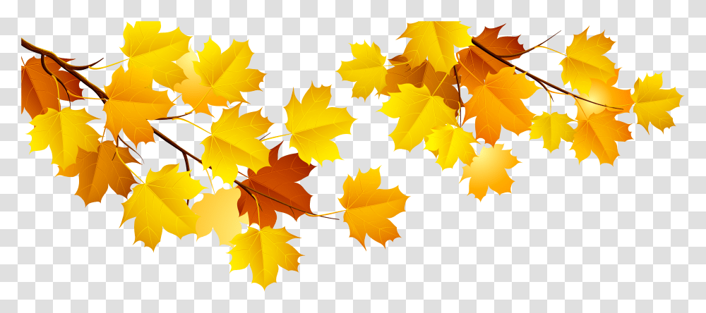 Autumn Images All Fall Tree Branch, Leaf, Plant, Maple Leaf, Veins Transparent Png